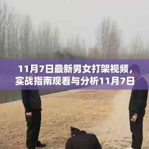 实战指南观看与分析,男女打架视频入门到进阶技能学习步骤解析