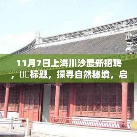 探寻自然秘境,川沙最新招聘启幕,寻找心灵的宁静与和谐之旅