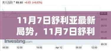 11月7日舒利亚局势深度解析,最新动态与观察分析