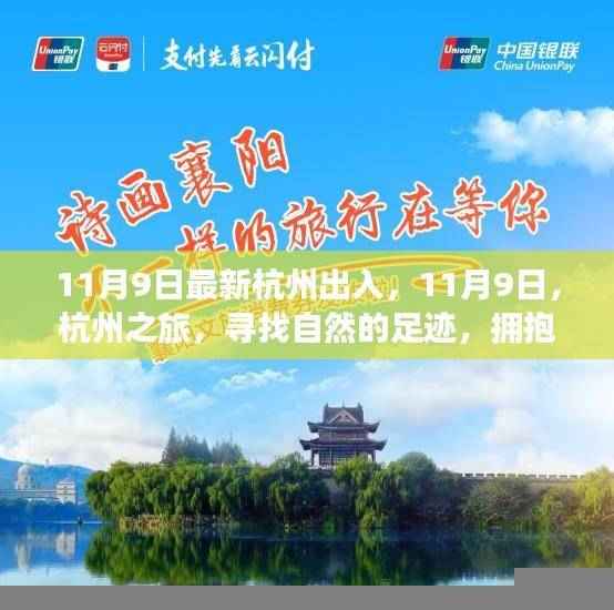 11月9日杭州之行,探寻自然足迹,拥抱内心宁静