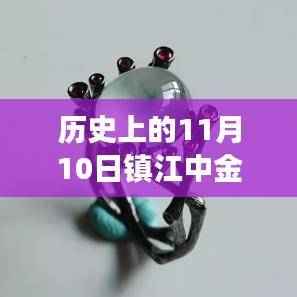 镇江中金辐射新篇章,自然美景治愈之旅,历史上的11月10日最新消息揭秘