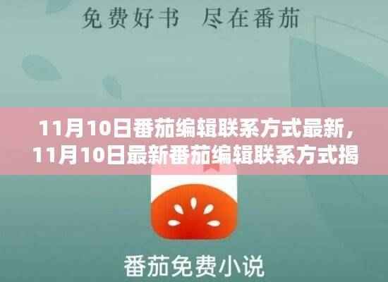 揭秘最新番茄编辑联系方式,11月10日更新版