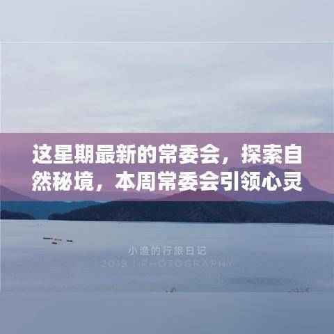 常委会引领心灵探索自然秘境之旅,启程寻找内心平静之路