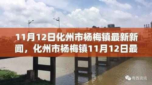 化州市杨梅镇11月12日新闻速递,获取最新资讯的攻略