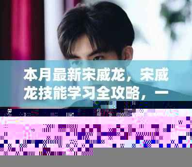 宋威龙技能学习全攻略,一步步引领你成为领域高手之路