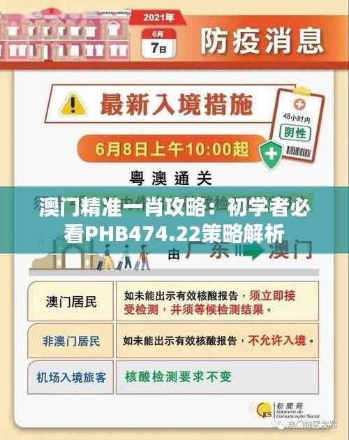 澳门精准一肖攻略:初学者必看PHB474.22策略解析