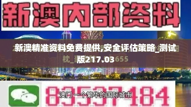 新澳精准资料免费提供,安全评估策略_测试版217.03