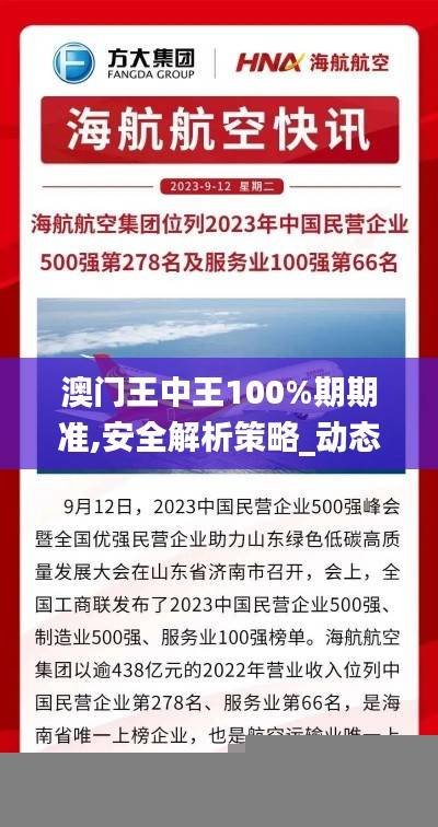 澳门王中王100%期期准,安全解析策略_动态版IGL278.76
