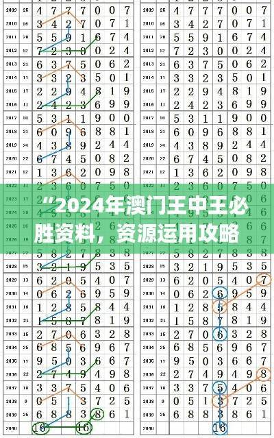 “2024年澳门王中王必胜资料,资源运用攻略_KXE970.82版游戏”