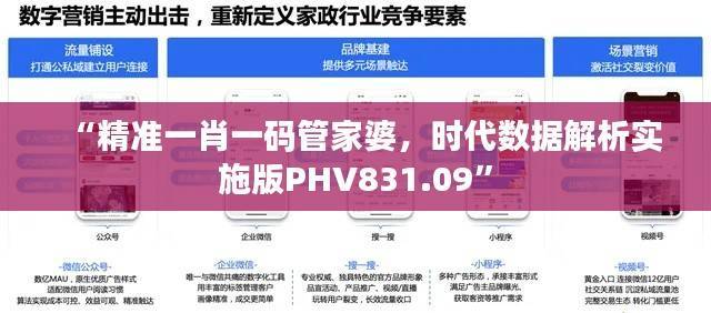 “精准一肖一码管家婆，时代数据解析实施版PHV831.09”