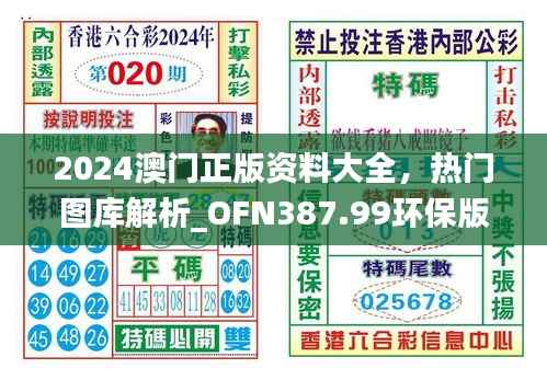 2024澳门正版资料大全,热门图库解析_OFN387.99环保版
