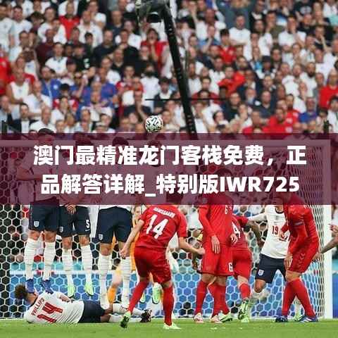 澳门最精准龙门客栈免费,正品解答详解_特别版IWR725.26版