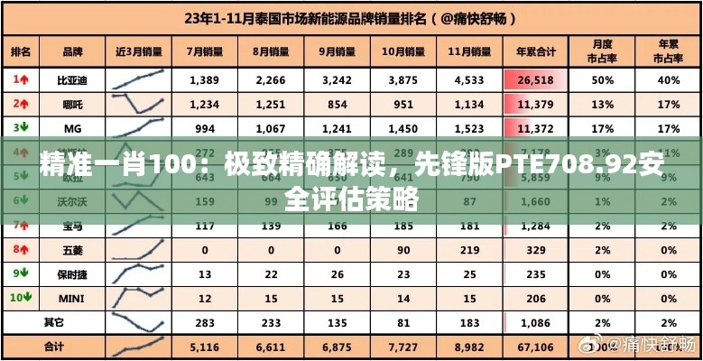 精准一肖100:极致精确解读,先锋版PTE708.92安全评估策略