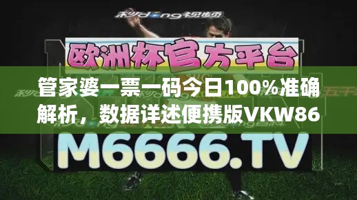 管家婆一票一码今日100%准确解析,数据详述便携版VKW86.48