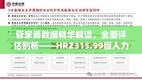 管家婆数据精华解读,全面评估剖析——HRZ315.99版人力资源全面解读