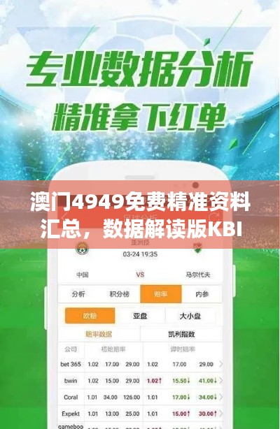 澳门4949免费精准资料汇总,数据解读版KBI145.95