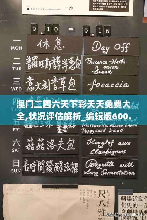 澳门二四六天下彩天天免费大全,状况评估解析_编辑版600.57