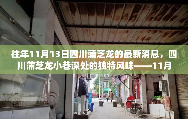 四川蒲芝龙小巷探秘,独特风味之旅的最新消息(11月13日更新)