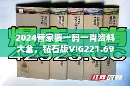 2024管家婆一码一肖资料大全,钻石版VIG221.69安全评估攻略