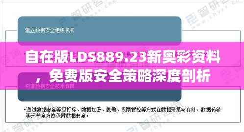 自在版LDS889.23新奥彩资料,免费版安全策略深度剖析