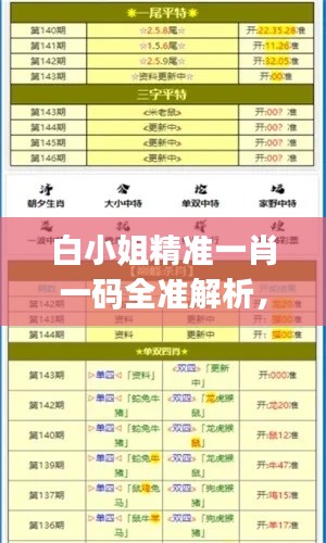 白小姐精准一肖一码全准解析,评判标准揭秘IJQ172.7