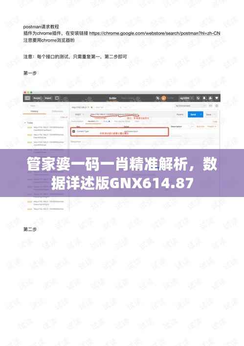 管家婆一码一肖精准解析,数据详述版GNX614.87
