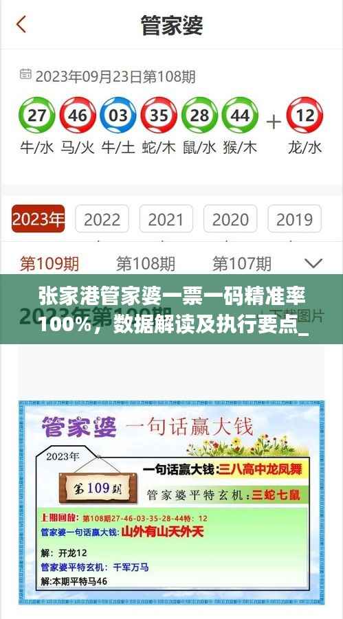 张家港管家婆一票一码精准率100%,数据解读及执行要点_主力版BWV283.03