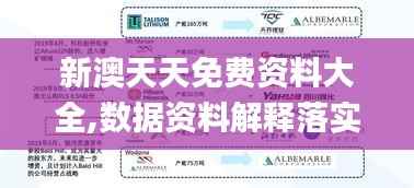 新澳天天免费资料大全,数据资料解释落实_稀有版YEQ766.1