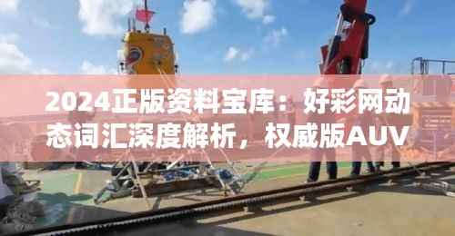 2024正版资料宝库:好彩网动态词汇深度解析,权威版AUV336.32