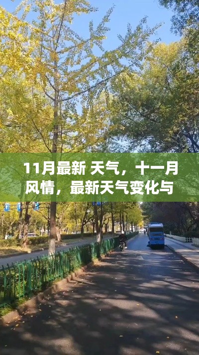 小红书上的秋日暖意,最新十一月天气变化与风情同行