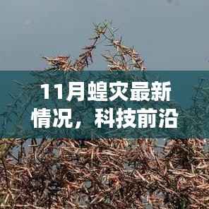 揭秘智能监测系统应对蝗灾,前沿科技应用与体验报告
