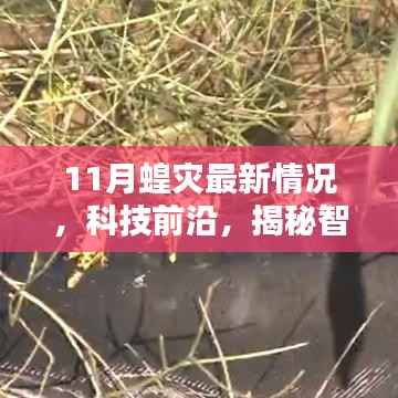 揭秘智能监测系统应对蝗灾,前沿科技应用与体验报告