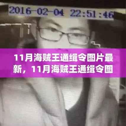 最新11月海贼王通缉令图片发布,热血海贼身影震撼再现