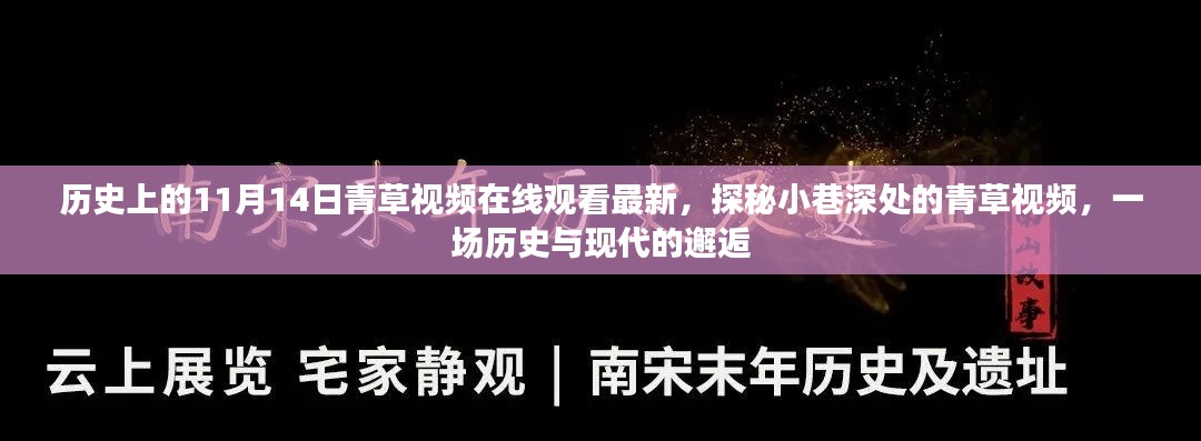 历史上的11月14日青草视频在线观看最新,探秘小巷深处的青草视频,一场历史与现代的邂逅