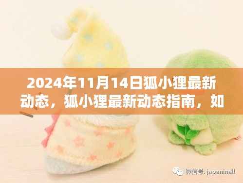 狐小狸最新动态指南，迈向进阶之路（附详细解读与行动指南）