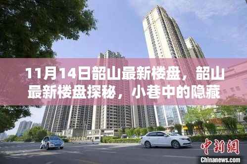 独家揭秘,韶山最新楼盘探秘——小巷中的隐藏瑰宝(11月14日最新)