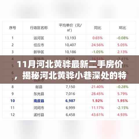 河北黄骅11月最新二手房价揭秘,特色小店与房价背后的故事