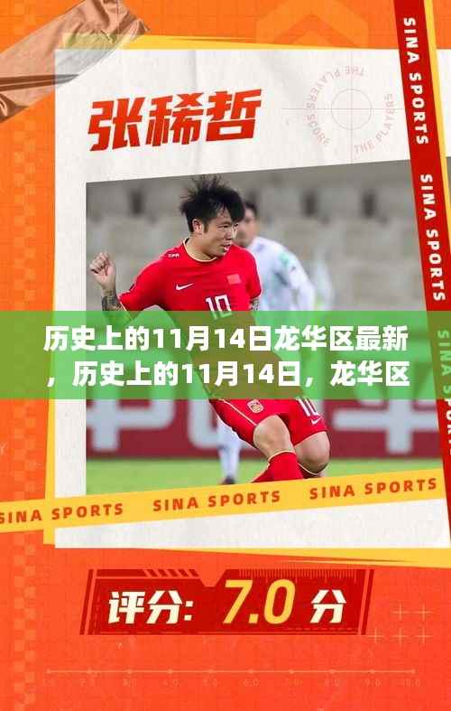 历史上的11月14日,龙华区最新进展全面评测与回顾