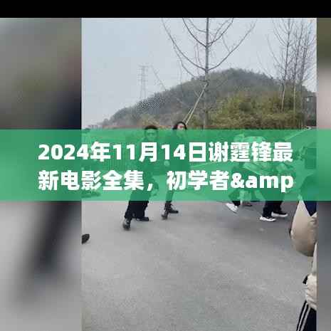 谢霆锋最新电影全集观看指南,初学者与进阶用户适用,2024年11月14日专属步骤指南