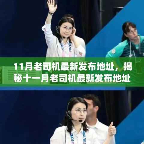 揭秘十一月老司机最新发布地址,背景、重大事件与领域地位的回顾