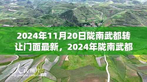 揭秘陇南武都门面转让最新动态,机遇与挑战并存(2024年11月最新消息)