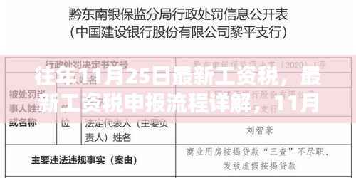 最新工资税申报流程详解及操作指南(11月25日更新)