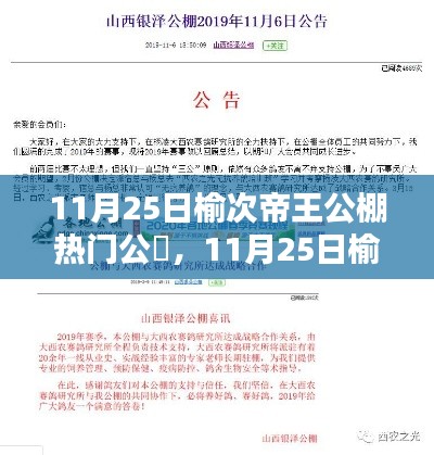 榆次帝王公棚热门公告解析,探寻行业焦点与未来趋势展望