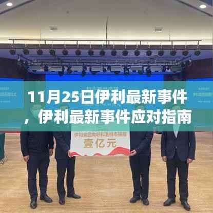 11月25日伊利事件应对指南,行动步骤详解