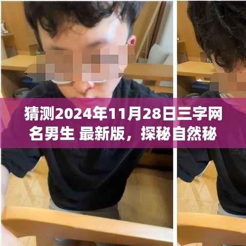 探秘自然秘境,心灵洗涤之旅启程日的三字网名男生猜想(最新版)