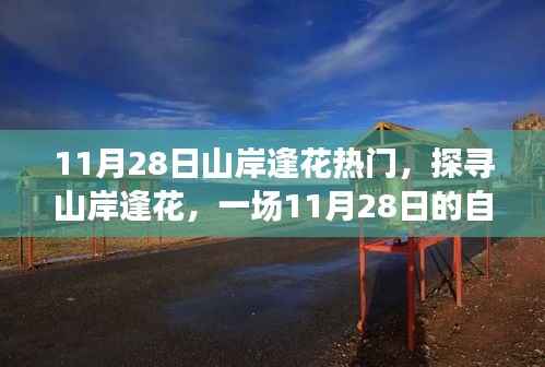 九死一生 第19页