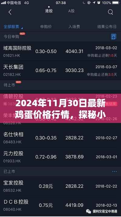探秘小巷深处的鸡蛋宝藏,揭秘最新鸡蛋价格行情,2024年11月最新报告出炉!