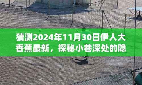 探秘隐藏美食天堂,伊人大香蕉最新惊喜,小巷深处的味觉盛宴(2024年11月30日)