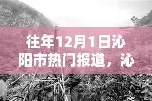 沁阳市隐藏小巷深处的特色小店,岁月中的惊喜