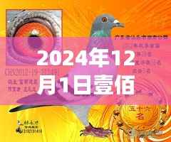 揭秘赛鸽公棚最新动态与趋势,壹佰赛鸽公棚最新消息速递(2024年12月1日)